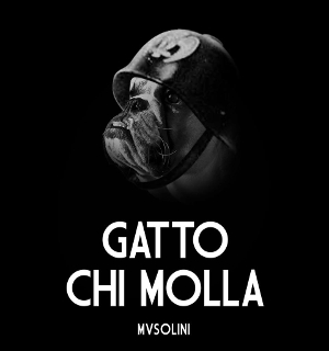 Musolino - Gatto Chi Molla