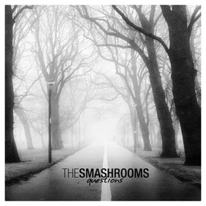 The Smashrooms - [2010] Questions